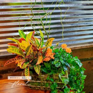 Green Garden a mixuture of green plants with pops of color by Rebel Girl Floral