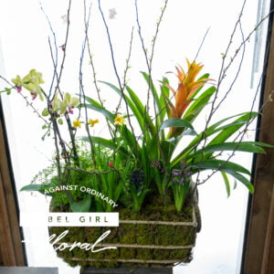Bromeliad Garden Basket with Ivy and Blooming Accents, expertly arranged by Rebel Girl Floral