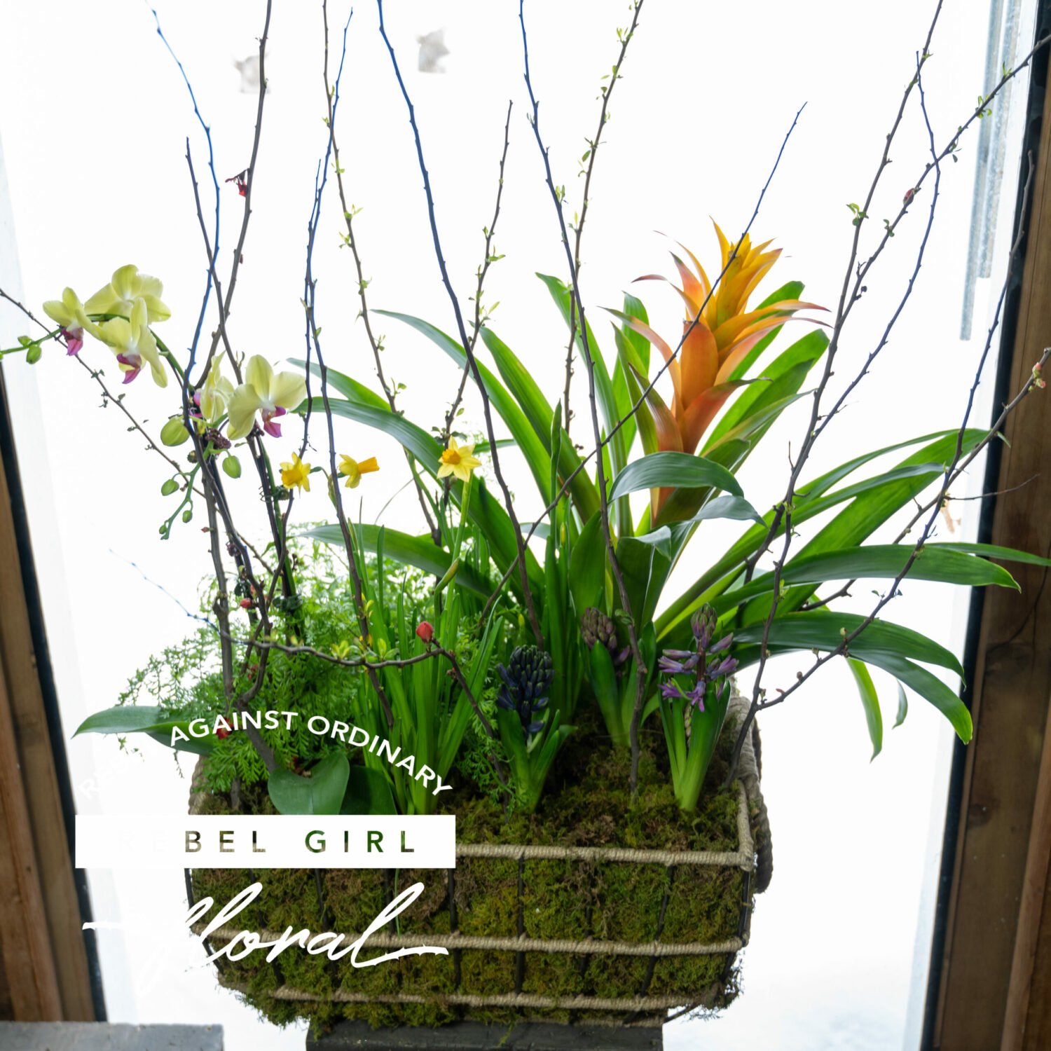 "Bromeliad Garden Basket | Rebel Girl Floral Bromeliad Garden Basket - Vibrant bromeliads and green plants in a decorative basket