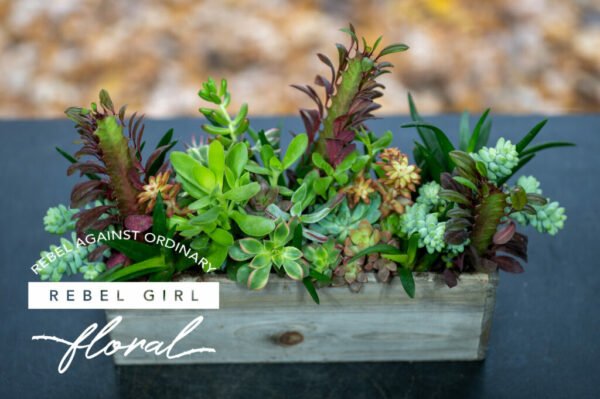 Succulent Garden in a wooden rectangular centerpiece container