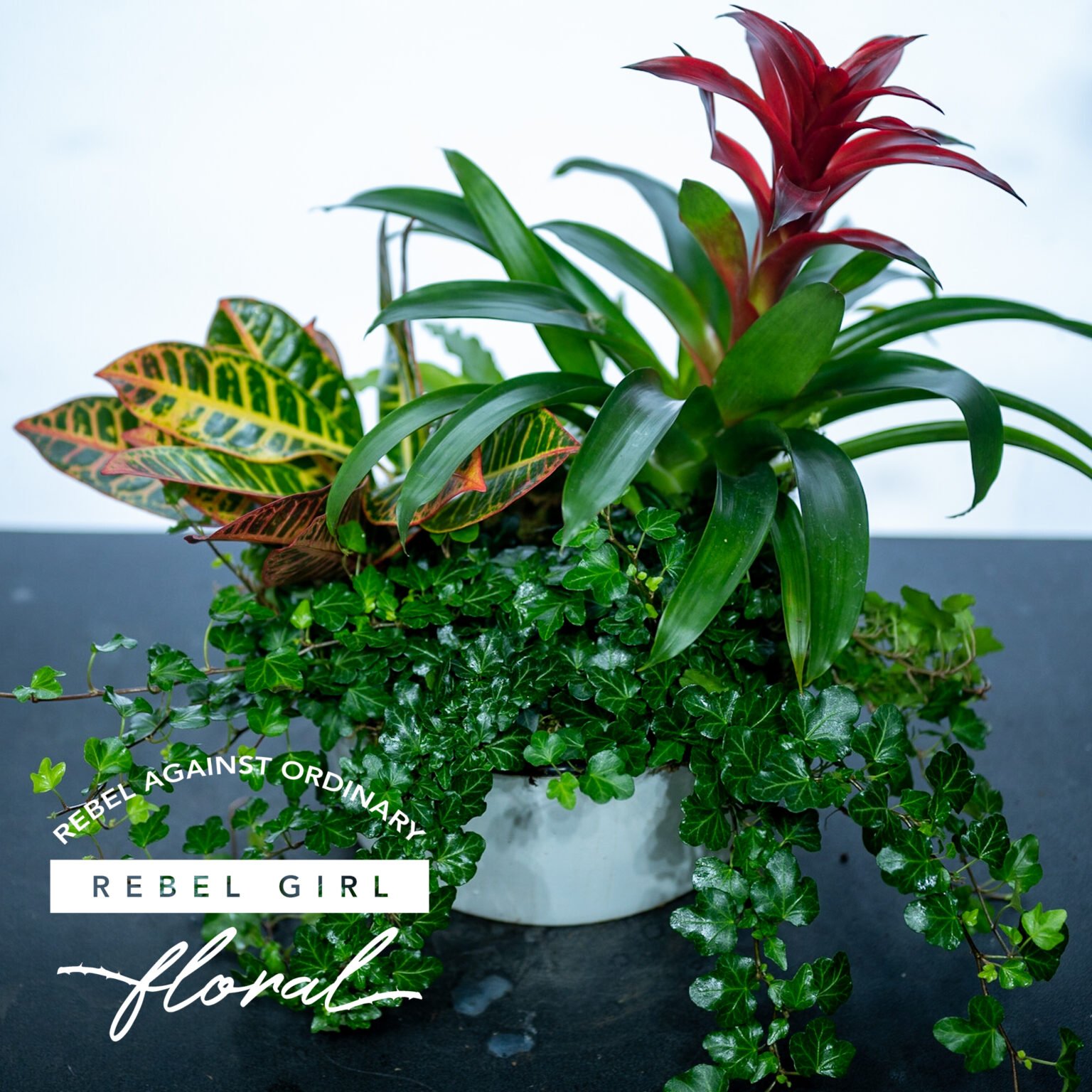 Bromeliad Garden Basket with Ivy and Blooming Accents by Rebel Girl Floral Bromeliad Garden Basket with Ivy and Blooming Accents, expertly arranged by Rebel Girl Floral